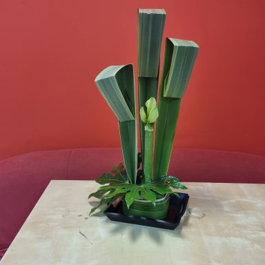 Plantes vertes en pot avec des tiges de bambou et un fond rouge.