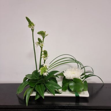 Arrangement floral moderne avec des fleurs blanches et des feuilles vertes.